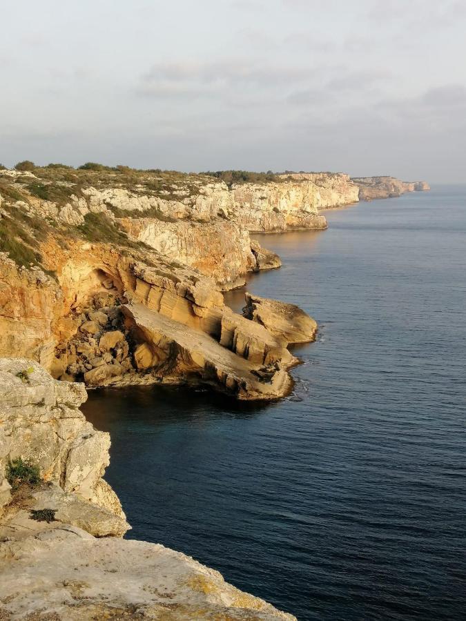 Tramontana Villa Cala En Porter  外观 照片