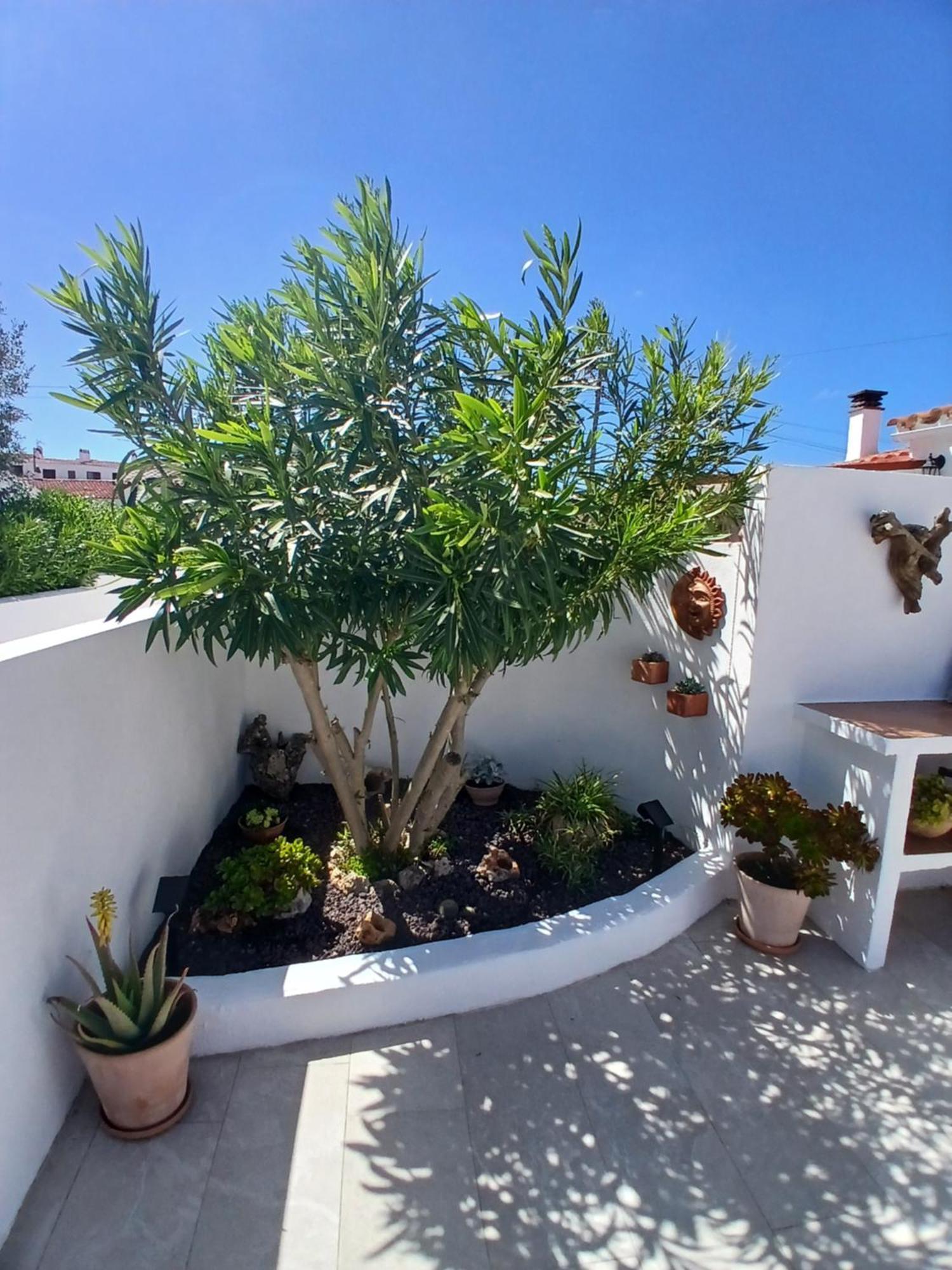 Tramontana Villa Cala En Porter  外观 照片